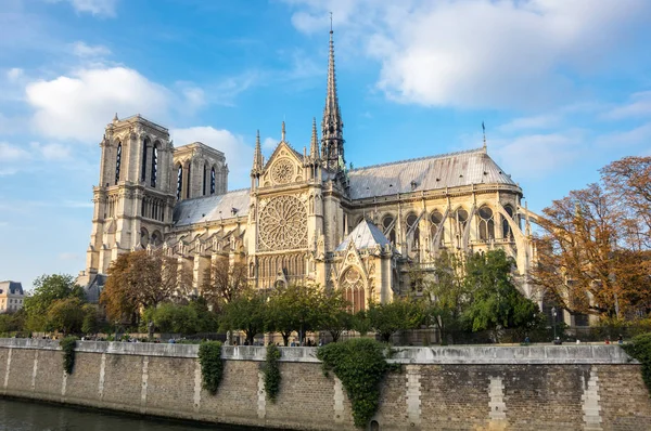 Notre dame de paris — Foto Stock