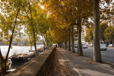  Setin Seine Nehri'nin