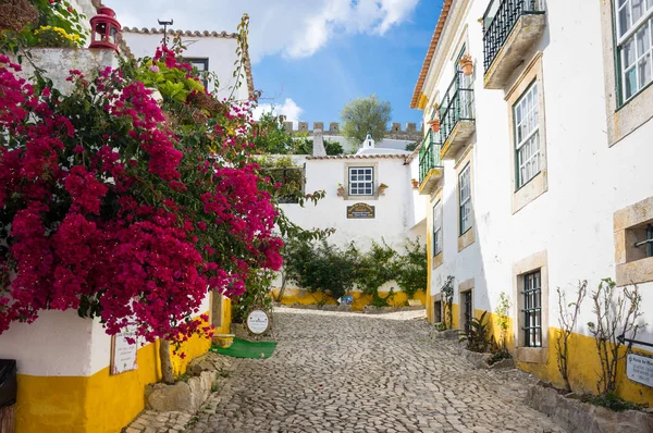 Gatan i obidos — Stockfoto