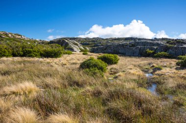 Serra da Estrela Doğal Parkı