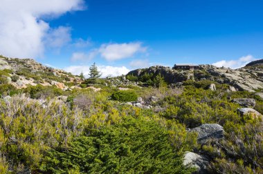 Serra da Estrela Doğal Parkı