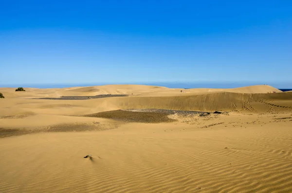 Maspalomas Dunes on the coast of Atlantic ocean — Stock Photo, Image