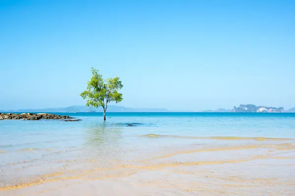 Klong Muang Strand — Stockfoto