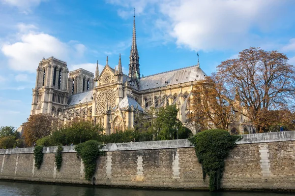 Notre dame de paris — Foto Stock