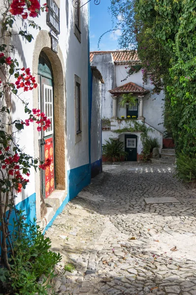 Via degli Obidos — Foto Stock