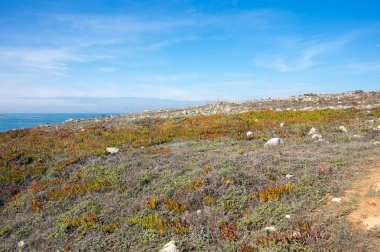 Atlantik Okyanusu kıyısında