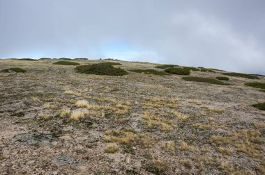 Serra da Estrela Doğal Parkı