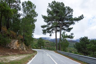 Serra da Estrela Doğal Parkı