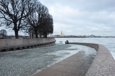 Vasilyevsky adada görüntülemek