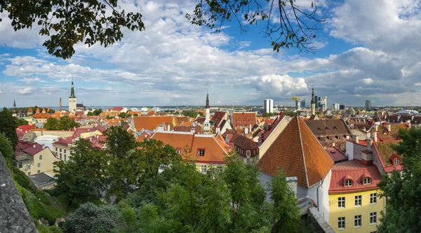 Panorama starých tallinn — Stock fotografie