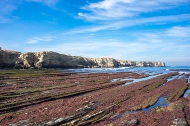 Atlantik Okyanusu kıyısında