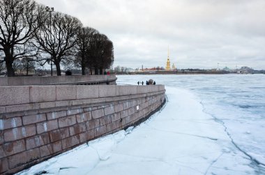 Vasilyevsky adada görüntülemek