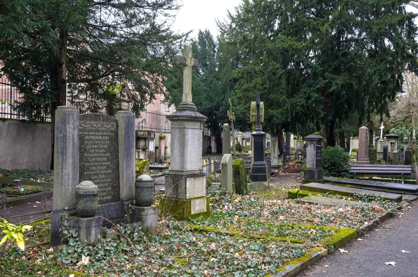 Gammel kirkegård i Bonn - Stock-foto