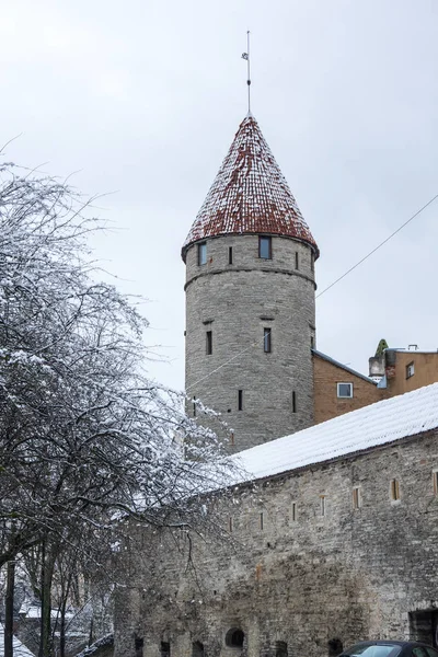 Mur de forteresse de Tallinn — Photo