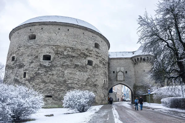 Fat Margaret's Tower — Zdjęcie stockowe