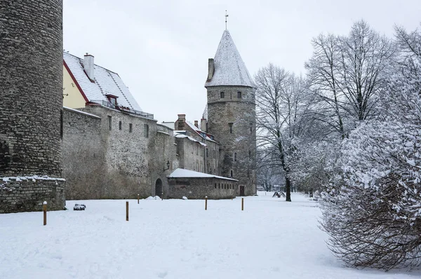 Mury twierdzy w Tallinnie — Zdjęcie stockowe