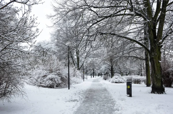 stock image Winter park in Tallinn