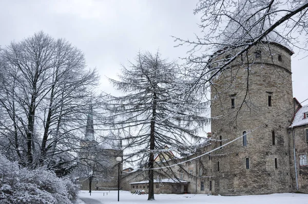 Muralla de la fortaleza de Tallin — Foto de Stock