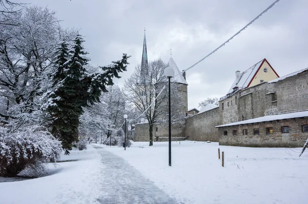 Fortress wall of Tallinn — Stock Photo, Image