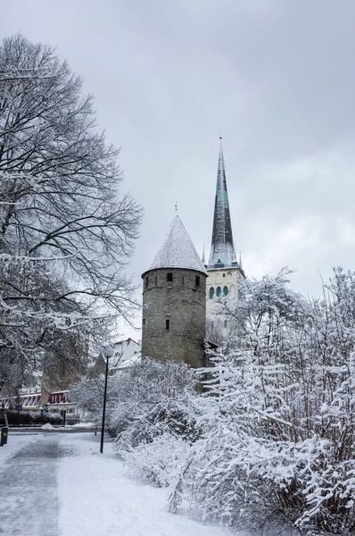 Vesting muur van Tallinn — Stockfoto