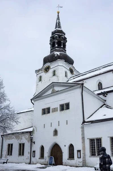 Domkathedrale von Tallinn — Stockfoto