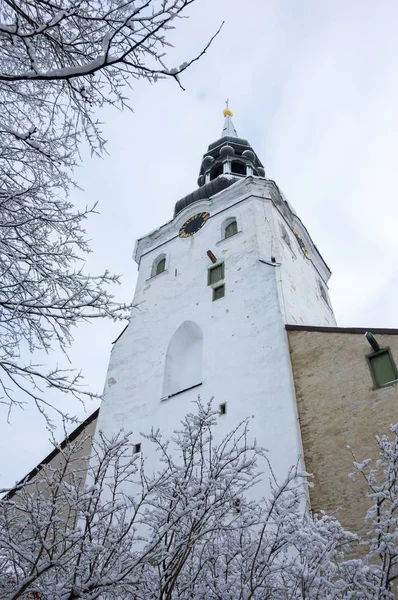 Dom van Keulen van Tallinn — Stockfoto
