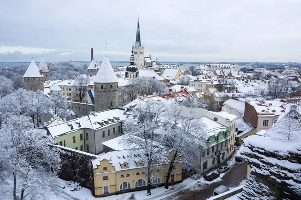 Cidade velha de Tallinn — Fotografia de Stock