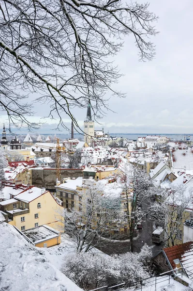 Старый город Таллинн — стоковое фото