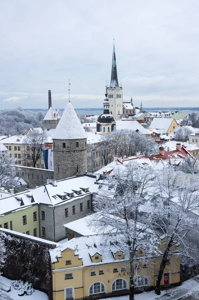 Старый город Таллинн — стоковое фото