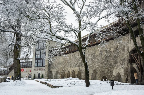 Kale wall Tallinn — Stok fotoğraf