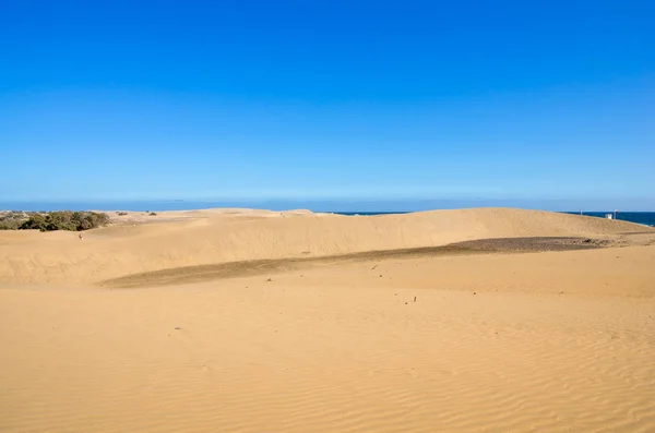 Dunas de maspalomas — Fotografia de Stock