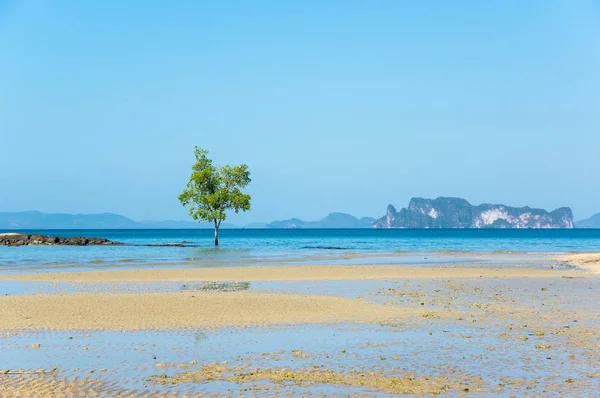 Пляжем Клонг-Муанг — стокове фото