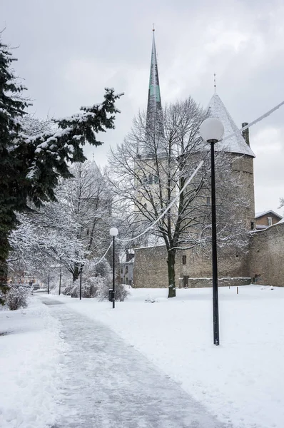 Fortress wall of Tallinn — Stock Photo, Image