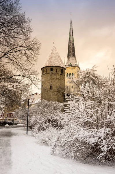 Fortress wall of Tallinn — Stock Photo, Image