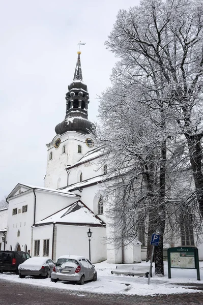 Dom van Keulen van Tallinn — Stockfoto