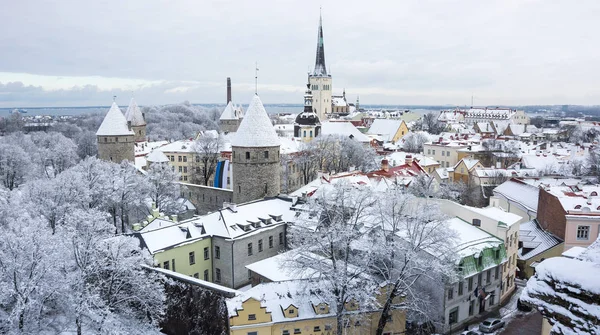 Cidade velha de Tallinn — Fotografia de Stock