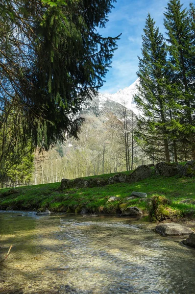 Panoramic view of french Alps — Stock Photo, Image