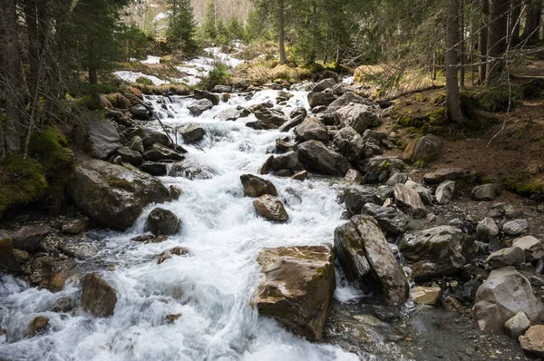 Горный ручей в Альпах — стоковое фото