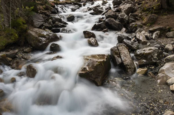 Mountain brook in Alps — Stock Photo, Image