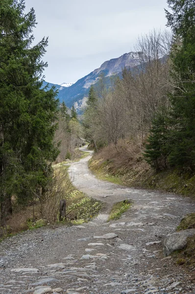 Panoramisch uitzicht van Franse Alpen — Stockfoto