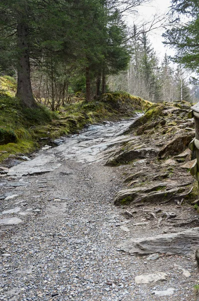 Der Hang des Berges — Stockfoto