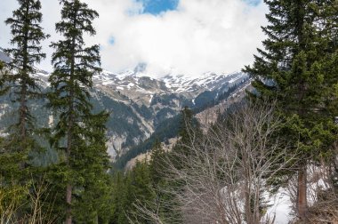 Vanoise national park
