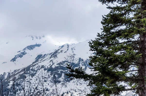 Vanoise national park