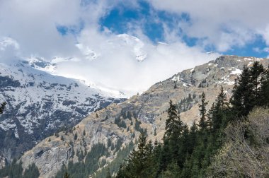 Vanoise national park