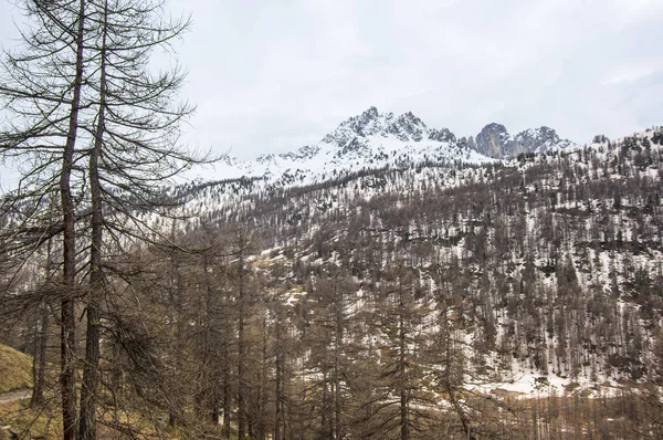 Ecrins National Park — Stock Photo, Image