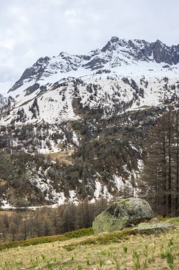 Ecrins Milli Parkı