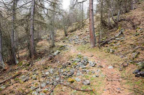 Parque Nacional de Ecrins — Foto de Stock