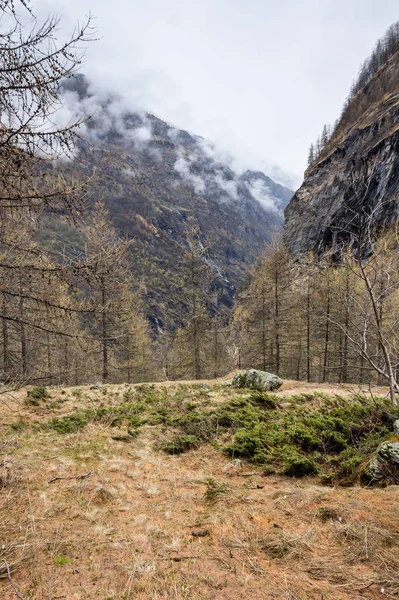 Ecrins National Park — Stock Photo, Image