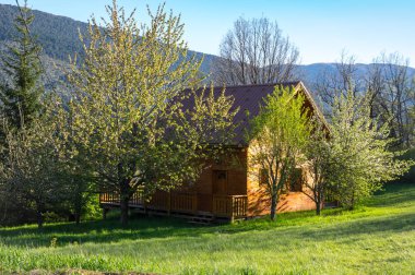 Elma ağaçlarının arasında ev