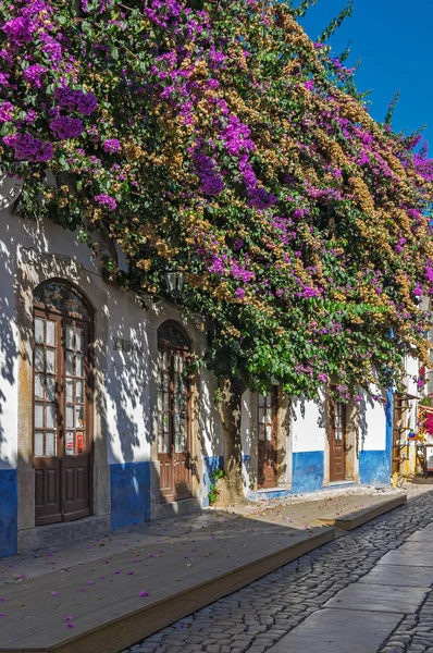 Gatan i obidos — Stockfoto